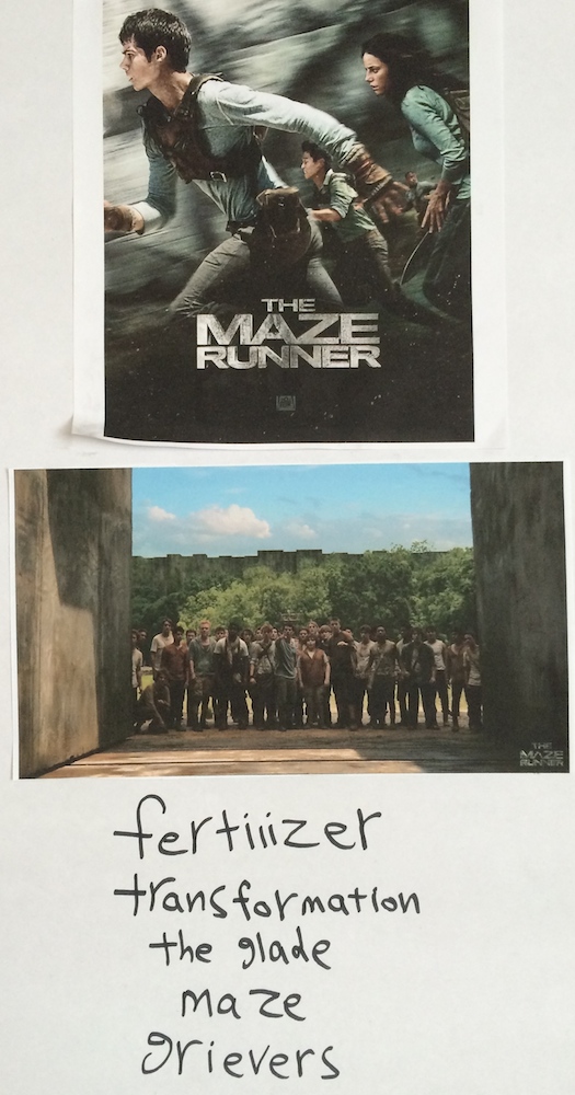 The Maze Runner by Hassan Alesayi