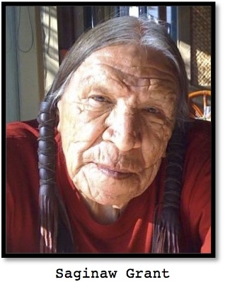 Saginaw Grant, American Indian for ESL lesson for The Lone Ranger