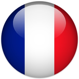 Flag of France  ESL lessons at Movies Grow English
