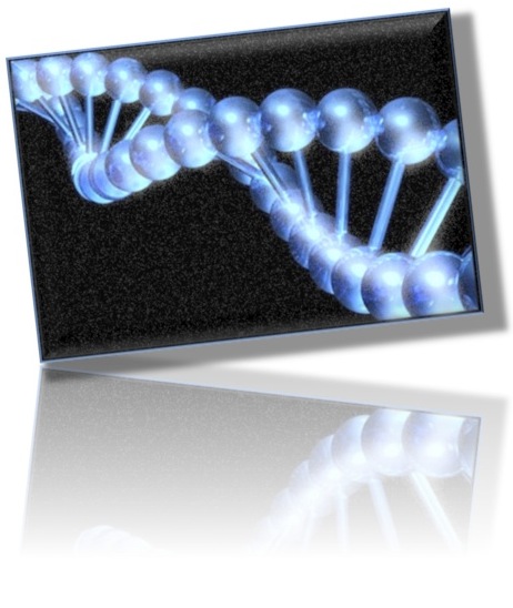 Short Sequence genome